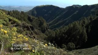 VALSEQUILLO DE GRAN CANARIA