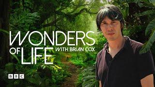 (Full Episode) Wonders of Life with Brian Cox | BBC Select