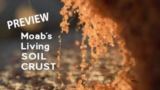 Moab's Living Soil Crust ~ Preview