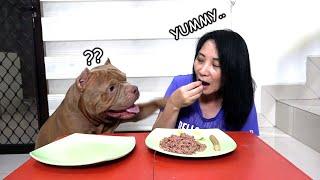 GIMANA YA REAKSI HEWIE KALAU MAKANANYA DIREBUT MOMMY # HEWIE PITBULL