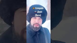 Aprende Insultos en Ruso #trend #viral #parati