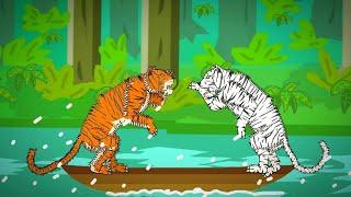 WHITE TIGER VS BENGAL TIGER - ANIMATION