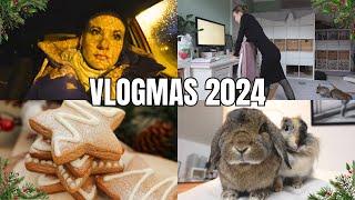 More Silent than Vlog! VLOGMAS 2024