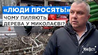 Директор КП «Миколаївські парки» пояснив обрізку дерев на Соборній необхідністю для їх здоровʼя