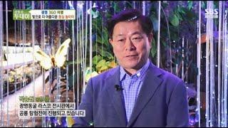 [ SBS 생방송투데이 ] 광명 3GO 여행