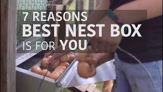 The BEST way to collect clean eggs! - Best Nest Box