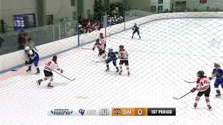 1.11.2023 - Ice Hockey - Diman vs. Upper Cape Cod Tech