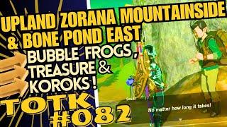 TotK082 Upland Zorana Mountainside & Bone Pond East: Bubble Frogs, Treasure, Koroks - Random Looting