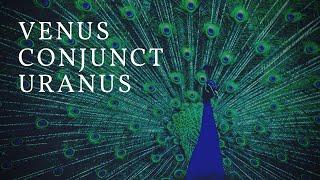 Venus Conjunct Uranus