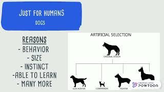 Artificial Selection