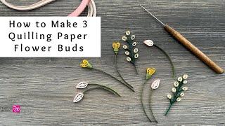 How to Make 3 Quilling Paper Flower Buds | Paper Craft Flowers | Quilling for Beginners