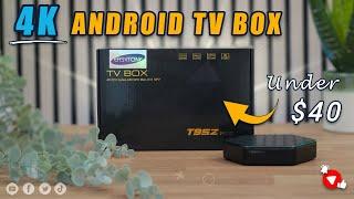 4K Android TV Box Under $40 | T95Z Plus Full Review!