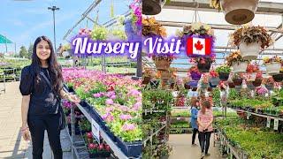 Best Nursery in Canada | How To Start A Garden In Canada? A Canadian Gardener Guide To Cold Climates