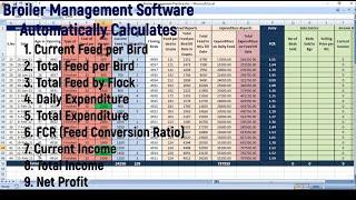 Free Broiler Management Excel Sheet Software for Broiler Farm