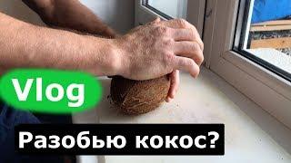 Vlog. Разобью кокос рукой? ПЛОВ