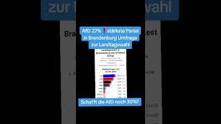 AfD 27%stärkste Partei in BrandenburgUmfrage zur Landtagswahl