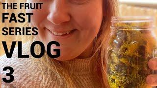 Type Two Diabetic Does a Fruit Fast | The Fruit Fast Series Vlog 3