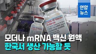 모더나 관계자 "한국서 완제 공정하는 mRNA 백신 나올듯" / 연합뉴스 (Yonhapnews)