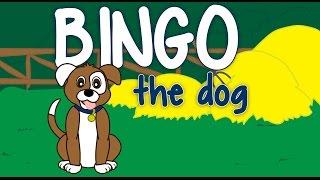 BINGO THE DOG - Childrens Songs Nursery Rhymes Bingo Song Bingo Dog Song Babies Toddlers by 123ABCtv