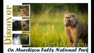 Unforgettable Game Drive in Murchison Falls National Park - AG Safari