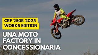 Honda CRF250 R WORKS EDITION: ne vale la pena? L'abbiamo messa a confronto con la standard e...