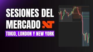 INDICADOR DE SESIONES DEL MERCADO PARA NINJATRADER 8