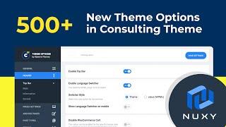 New Theme Options at Consulting Theme