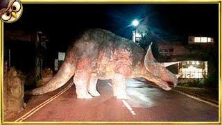 Dinosaurs Caught On Camera & Spotted In Real Life!