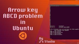 Solve vi editor arrow keys becoming ABCD problem in Ubuntu 18