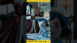 জ্যাকির সৎ মা জ্যাকির ওপর অত্যাচার করে || bengali story || cat video || #catrescue #cartoon #cat