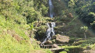 Curug Pletuk Desa Pesangkalan Kec Pagedongan Kab Banjarnegara Vlog