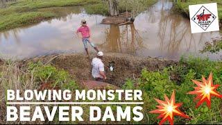 BLOWING MONSTER BEAVER DAMS 4 In One Day