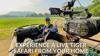 INDIA’S FIRST VIRTUAL SAFARI - EP1 | TIGER SAFARI LIVE |BANDHAVGARH NATIONAL PARK