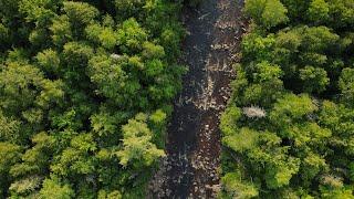 Keweenaw Bay Indian Community Carbon Project