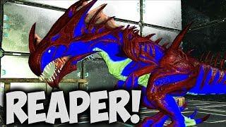 REAPER TAMING, CLONING, & TESTING WITH DRAAX & STUB! (Modded Ark Aberration Pooping Evolved Ep 13)