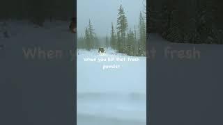 Hitting that white powder #jeep #oregon #snow