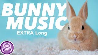 Click THIS to Make Your Rabbit SLEEP! - Soothing Music to Calm Your Bunny