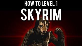 How to Beat Skyrim Level 1