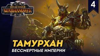 [СТРИМ] Тамурхан | Часть #4 | Бессмертные Империи | кампания Total War: Warhammer 3