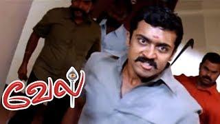 Vel full Movie | Vel Tamil Movie scenes | Suriya susepects his twin Brother | Suriya Best Mass Scene