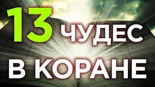 13 самых невероятных чудес, упомянутых в Коране