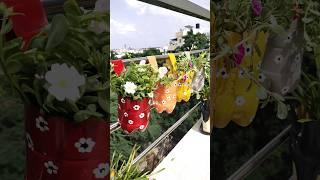 Hanging planter pot making idea using Sprite cool drink plastic waste bottles home gardening balcony