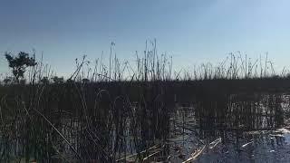 Poling - Okavango Delta