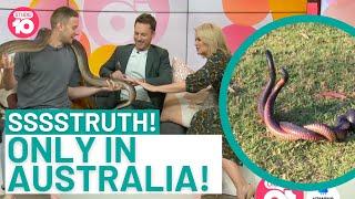 Sssstruth! Only In Australia | Studio 10