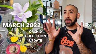 March 2022 Orchid Collection Update