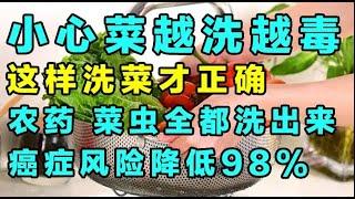 小心！菜越洗越毒！教你正确的洗菜方法，农药、菜虫全都洗出来【精选】