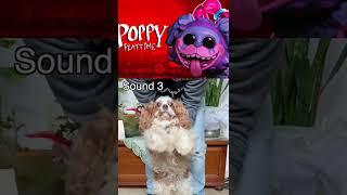 How the sound of PJ Pug-a-Pillar was made Poppy Playtime #shorts