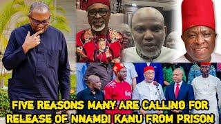 5 Major Reason's Many Are Calling For Release Of Nnamdi Kanu From Prison & Benefits