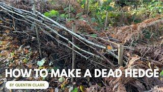 How to Make a Dead Hedge