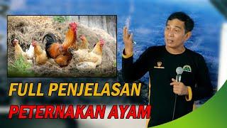 FULL PENJELASAN PETERNAKAN AYAM #bayudininrat #bayusehatmandiri #pertanian